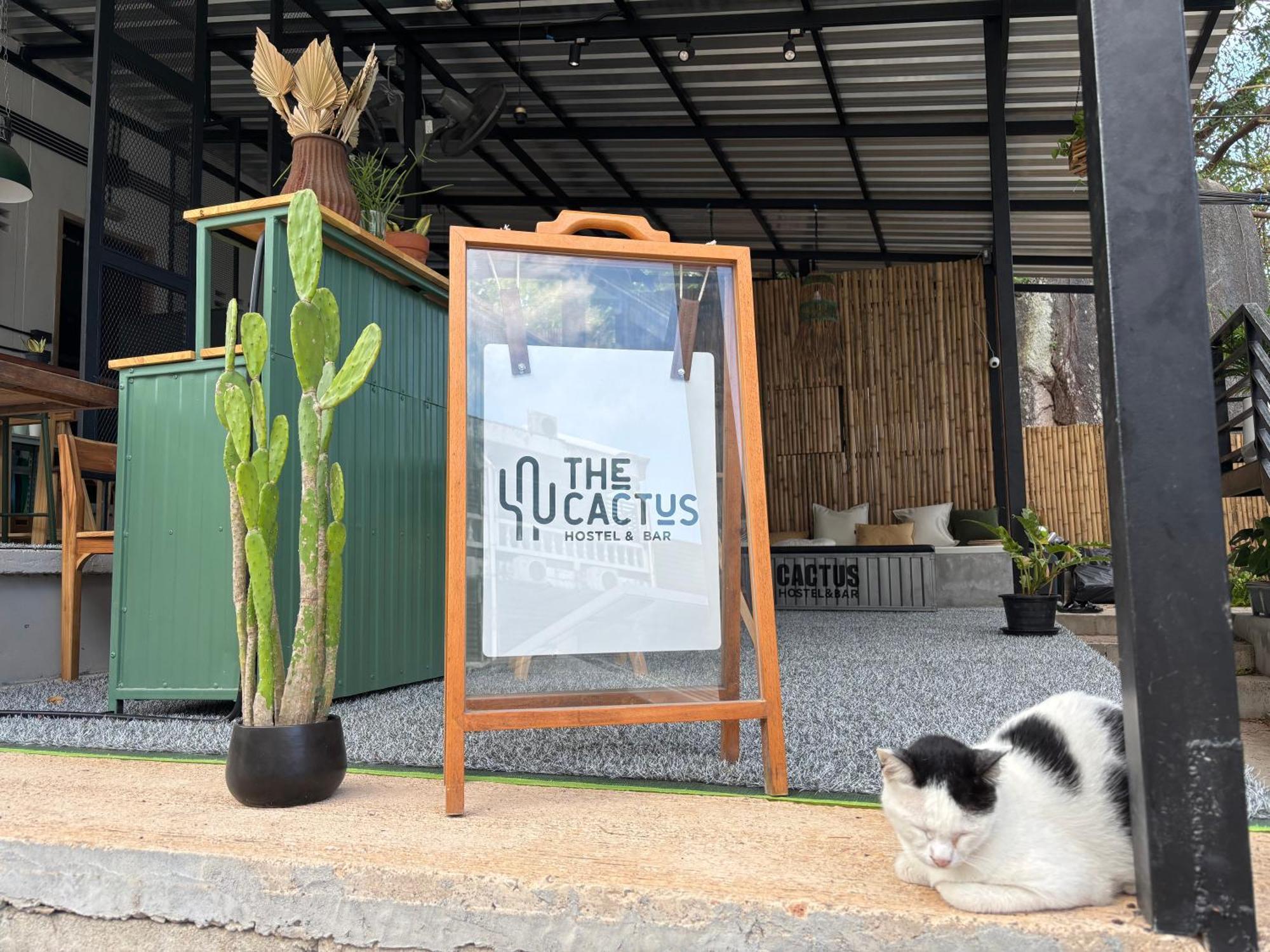 Cactus Boutique Hostel Koh Tao Exterior photo